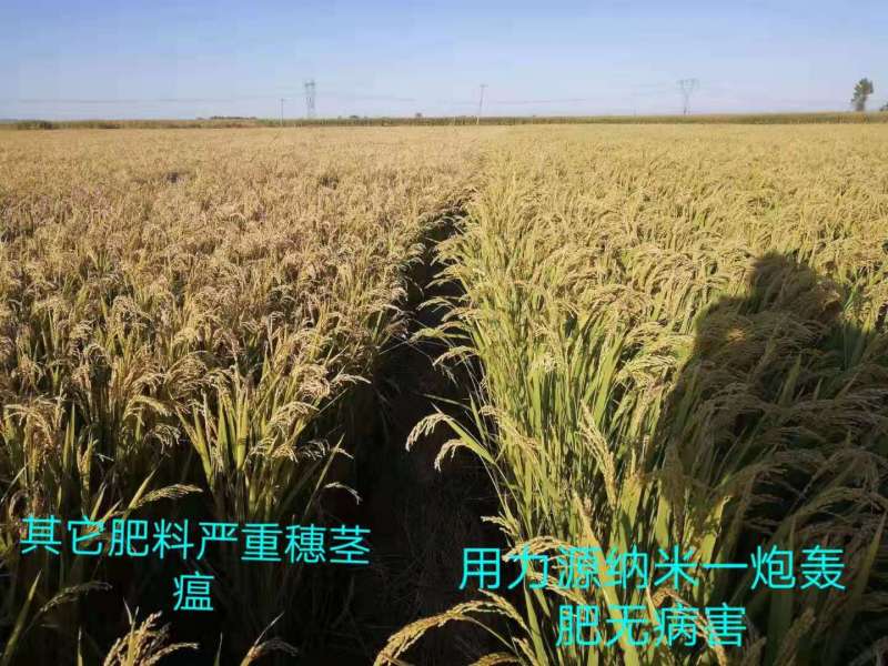 &#107;&#97;&#105;&#121;&#117;&#110;&#24320;&#20113;&#23448;&#26041;&#32593;&#39029;&#29256;&#45;&#107;&#97;&#105;&#121;&#117;&#110;&#24320;&#20113;&#40;&#20013;&#22269;&#41;
