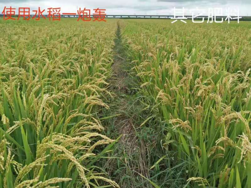 &#107;&#97;&#105;&#121;&#117;&#110;&#24320;&#20113;&#23448;&#26041;&#32593;&#39029;&#29256;&#45;&#107;&#97;&#105;&#121;&#117;&#110;&#24320;&#20113;&#40;&#20013;&#22269;&#41;
